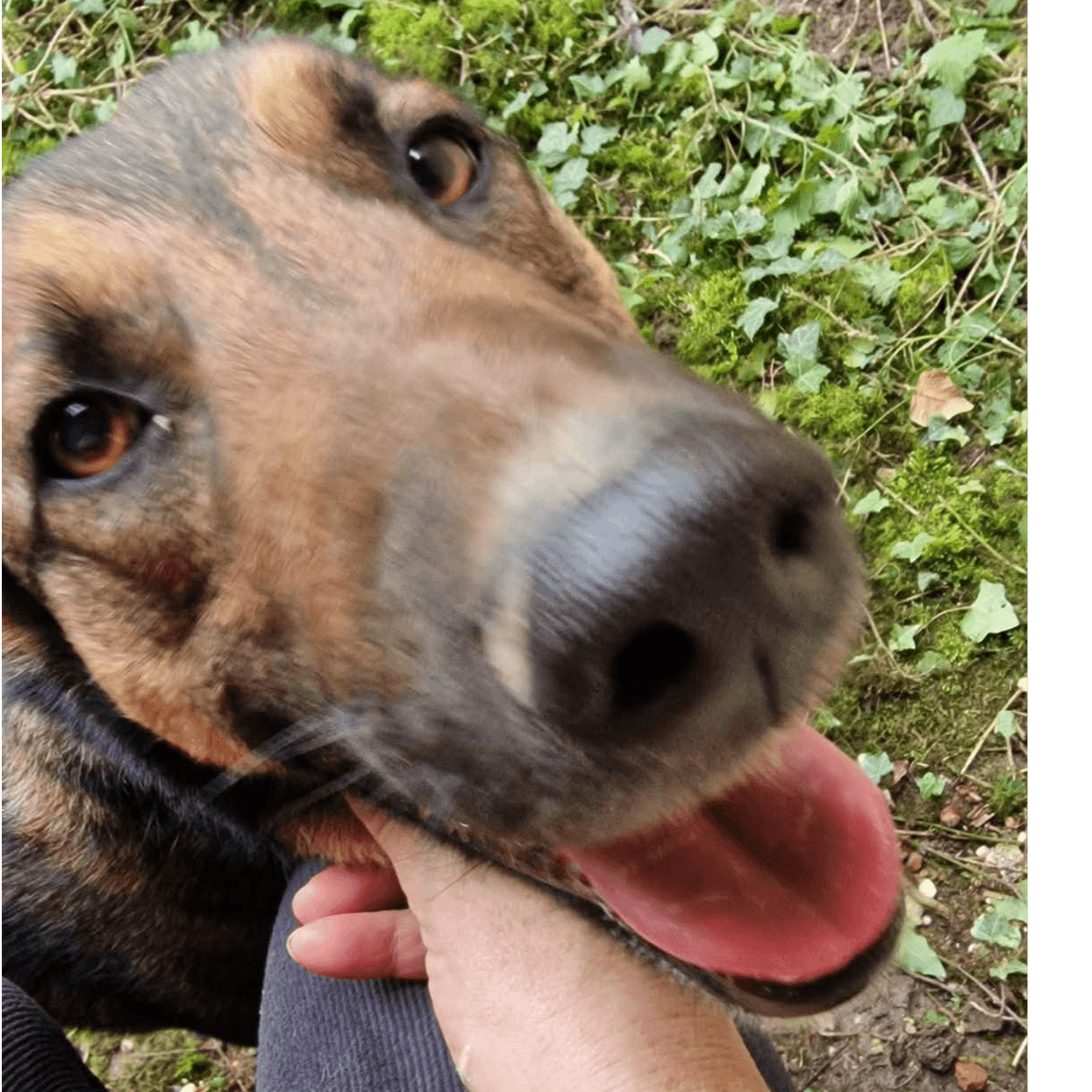 Duke